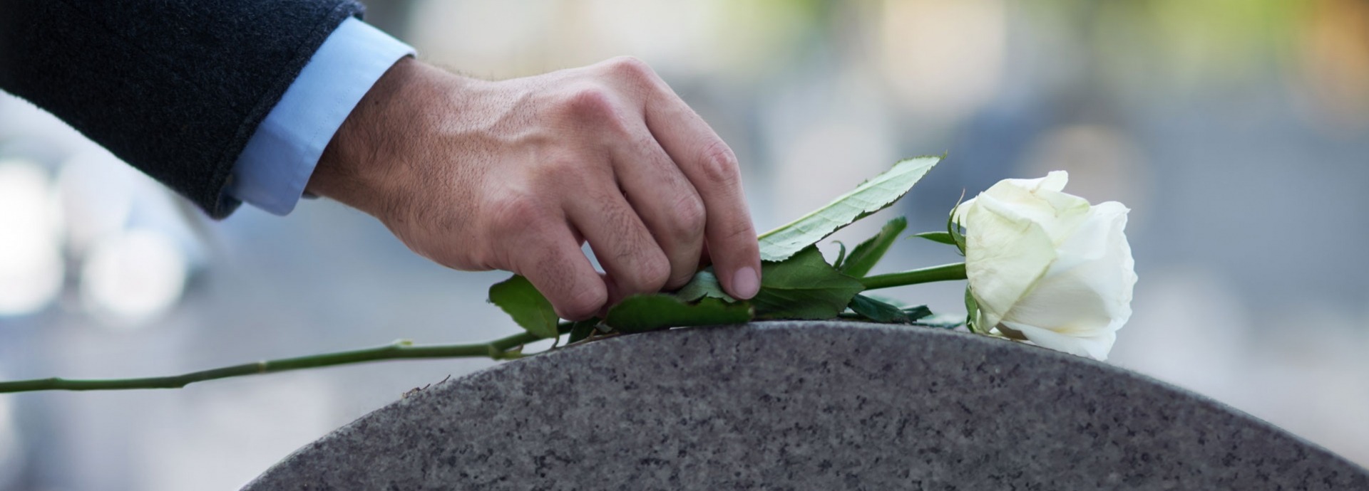 Een man legt een witte roos op een grafsteen