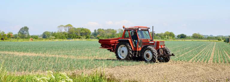 Tractor op het veld